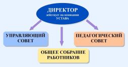 Структура управления спортивной школы